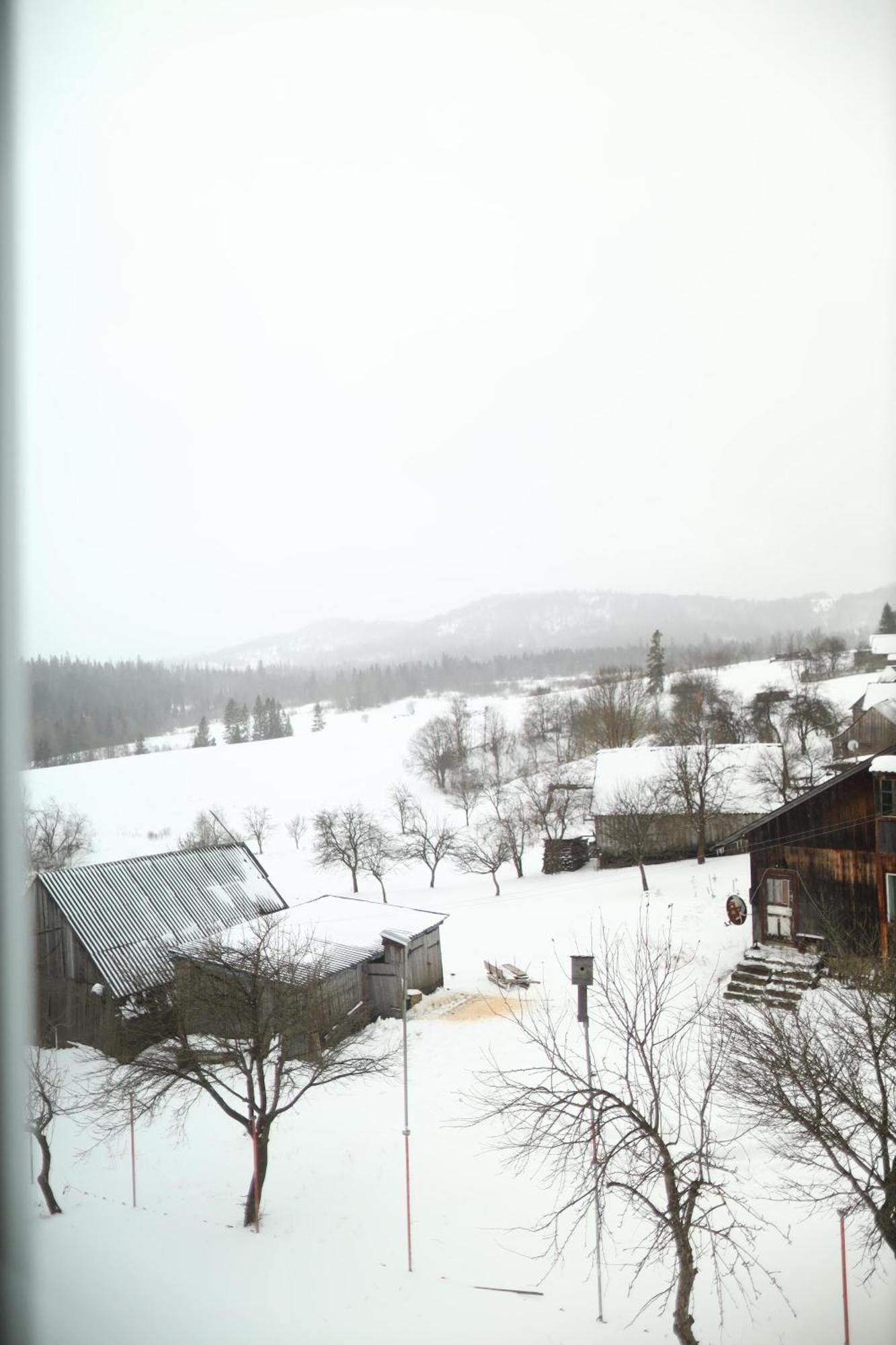 Котедж У Карпатах Tukhol'ka Esterno foto
